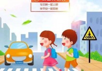 「交通安全幼儿园」幼儿园交通安全培训讲座